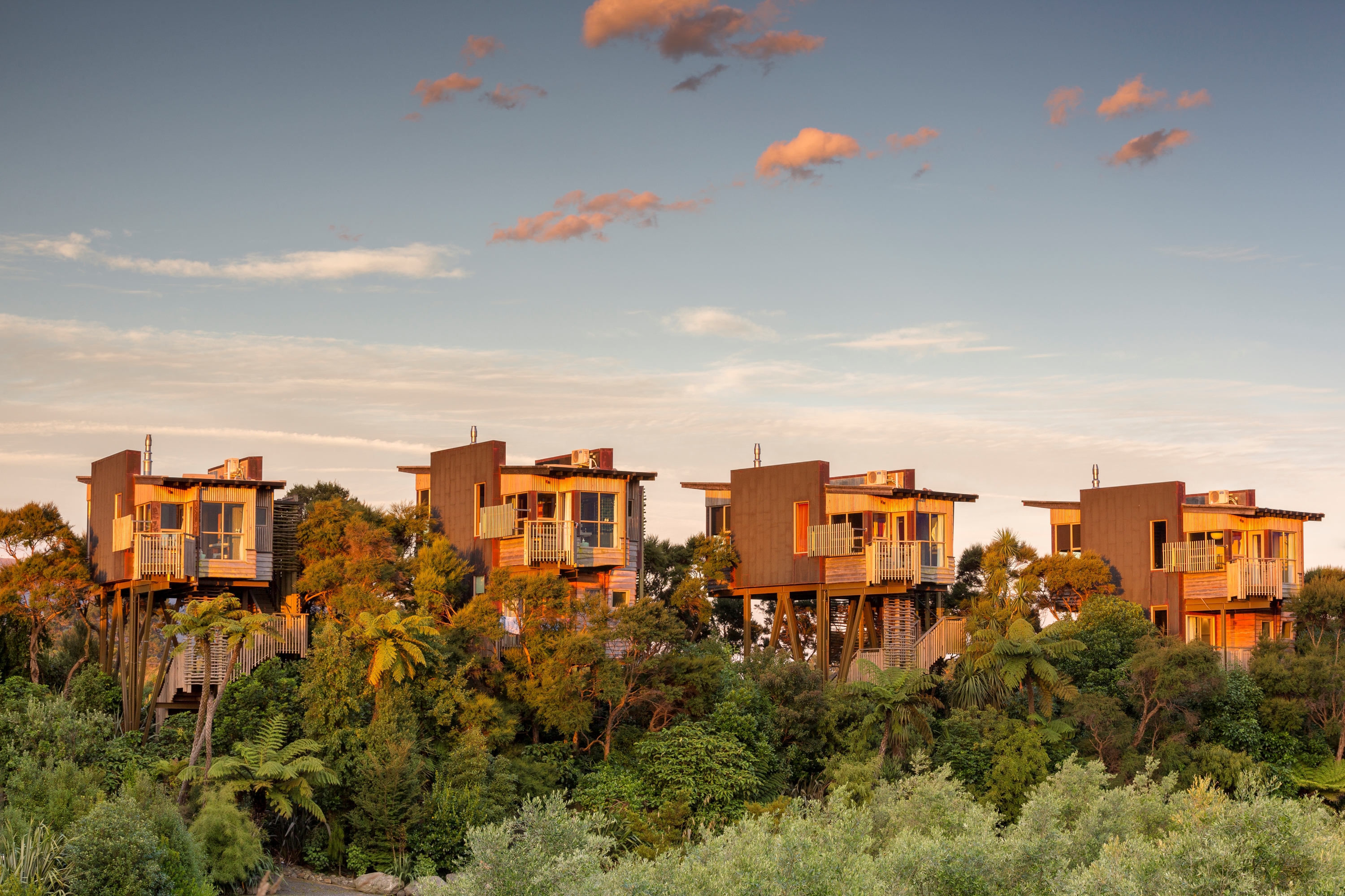 Hapuku Lodge and Treehouses